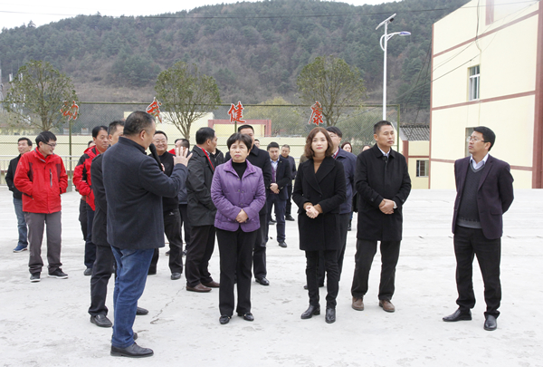 区人大常委会副主任田新华,邝庆林,区政府副区长孙玉娟参加视察.